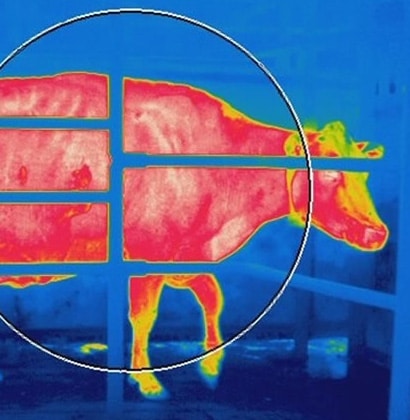 thermal_cctv-farms