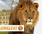 burglar-alarms-bath